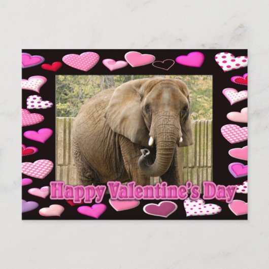 val-elephant-00045-6x4 ポストカード (正面)