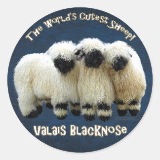 Valais Blackknose – 世界で最も可愛いヒツジのシール ラウンドシール