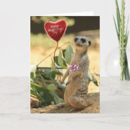 Valantine Meerkat 2 シーズンカード