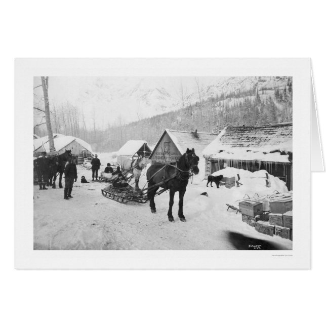 Valdezの道の馬アラスカ1912年 (正面横)