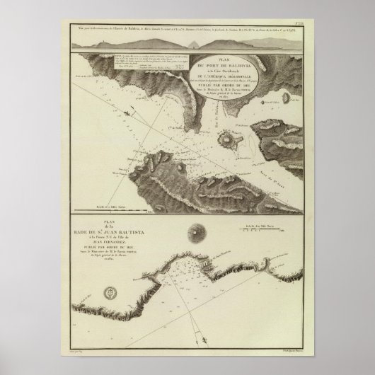 Valdivia Region Chile ポスター (正面)