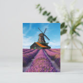 Valensole Lavender Fields Provence France ポストカード (スタンド正面)