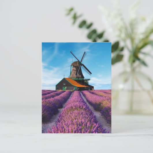 Valensole Lavender Fields Provence France ポストカード (スタンド正面)