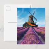 Valensole Lavender Fields Provence France ポストカード (正面/裏面)