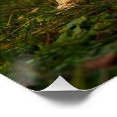 Valentijn bankje met fubby liefde's humor. ポスター (コーナー)