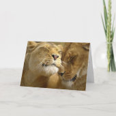 Valentine シーズンカード (正面)