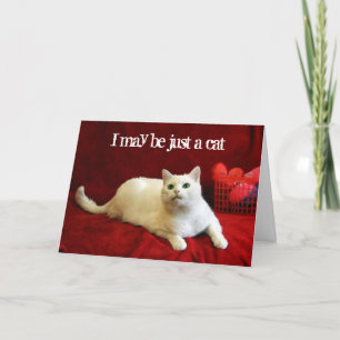 Valentine From the Cat シーズンカード