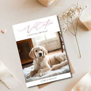 Valentine I Woof Youおもしろい Very Much Dog Photo シーズンカード
