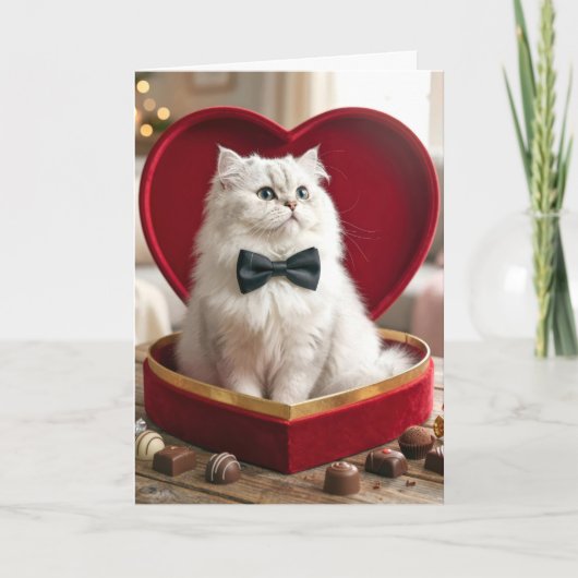 Valentine Persian Cat In Candy Box カード (正面)