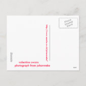 valentine  swans シーズンポストカード (裏面)