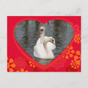 valentine swans シーズンポストカード