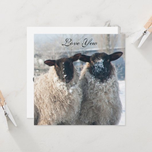 Valentine's Day Card カード (正面/裏面インサイチュ)