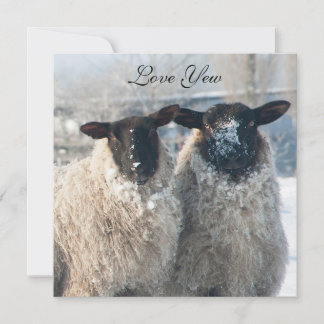 Valentine's Day Card カード