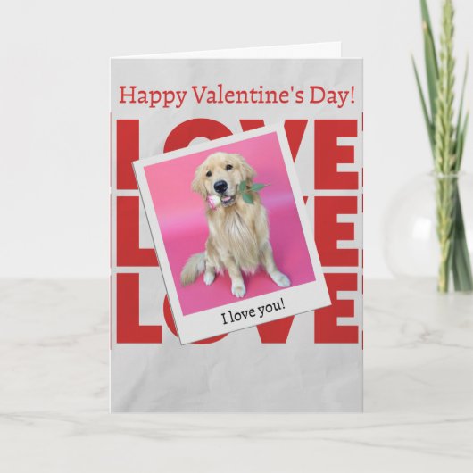 Valentine's Day card with dog カード (正面)