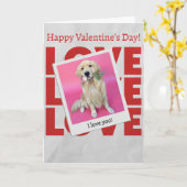 Valentine's Day card with dog カード (黄色い花)