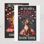 Valentine's Day cute boston terrier dog Photo   シーズンカード (正面/裏面)