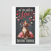 Valentine's Day cute boston terrier dog Photo   シーズンカード (スタンド正面)