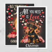Valentine's Day cute chiweenie dog Photo   シーズンカード (正面/裏面)
