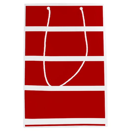 Valentine's day Gift bag ミディアムペーパーバッグ (正面)