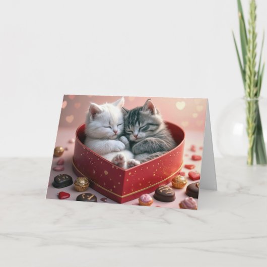 Valentine's Day Kittens In a Candy Box カード (正面)