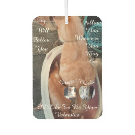 Valentine's Humor Cats Photo Text カーエアーフレッシュナー