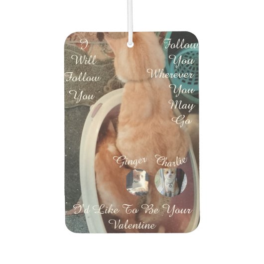 Valentine's Humor Cats Photo Text カーエアーフレッシュナー (正面)