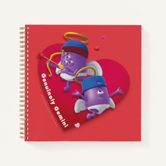 Valentine's Notebook for Gemini ノートブック