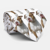 Valentinoのタイ ネクタイ (ロール)