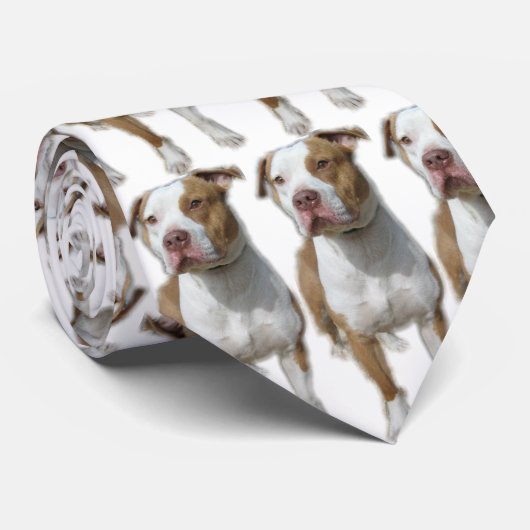 Valentinoのタイ ネクタイ (ロール)