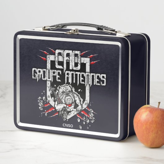 VALISETTE ANTENNES メタルランチボックス (インサイチュ)