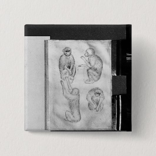 Vallardiのアルバムからの猿、 缶バッジ (正面)