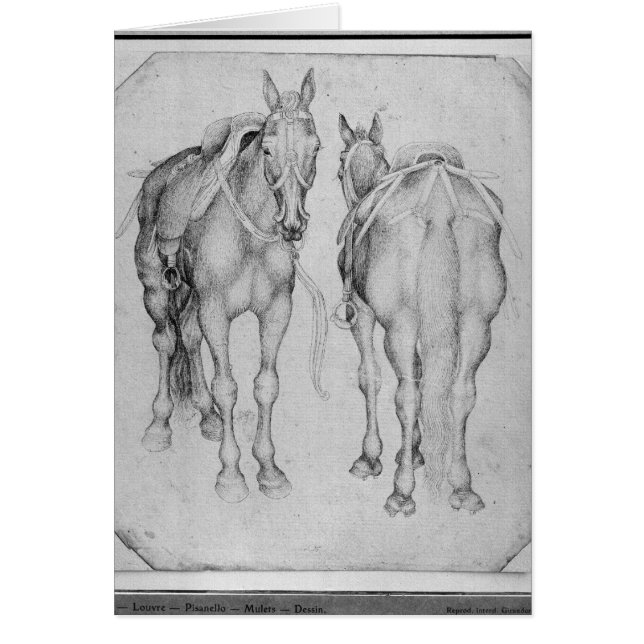 Vallardiのアルバムからの2頭の馬、 (正面)