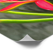 Vallarta Flaming Beauty 1583 Art Print ポスター (角)