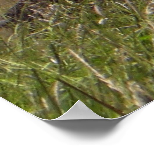 Valley Forge, PA Log Cabin ポスター (角)