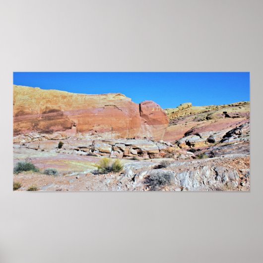 Valley of Fire Desert Landscapeの写真 ポスター (正面)