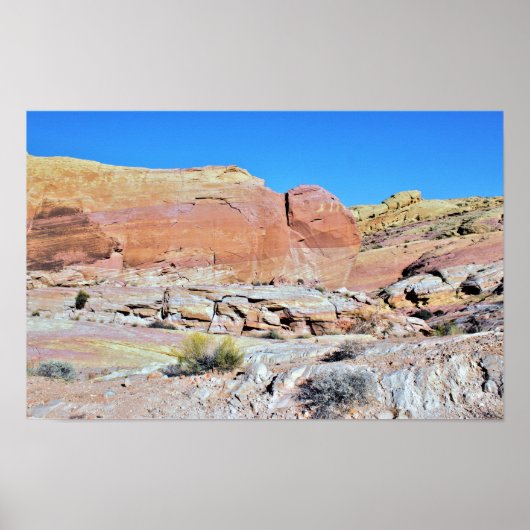 Valley of Fire Desert Landscapeの写真 ポスター (正面)