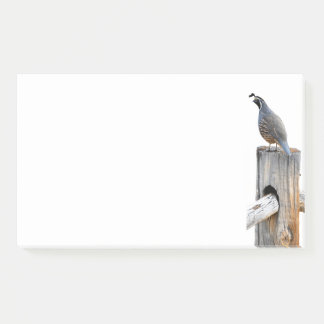 Valley Quail写真10x6ノート文房具 ポストイット