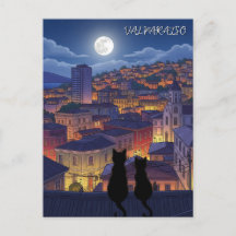 Valparaiso Chile cats at Night