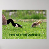 Vamoseポスター ポスター (正面)