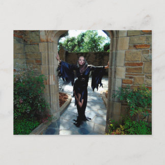 Vamplified Dead Hollywoodはがき ポストカード