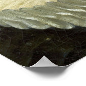 Van Dyck – フリルの男の頭 ポスター (角)