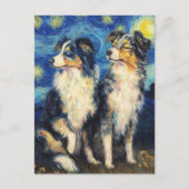 Van Gogh Border Collies ポストカード (正面)