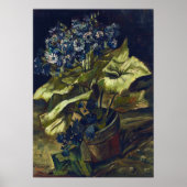 Van Gogh Cineraria in a Flowerpot ポスター (正面)