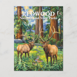 Van Gogh Elk Redwood California Forest Custom Text ポストカード