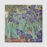 Van Gogh Irises Impressionist Painting マグネット<br><div class="desc">Vincent Van Gogh Irises at Saint Remy - Irises by Vincent Van Gogh is a wonderful impressionistic painting by one of the master impressionism artists of all time. The iris garden is swirling with color and emotion, as the purple irises flow up from their blue green stems and leaves. There...</div>