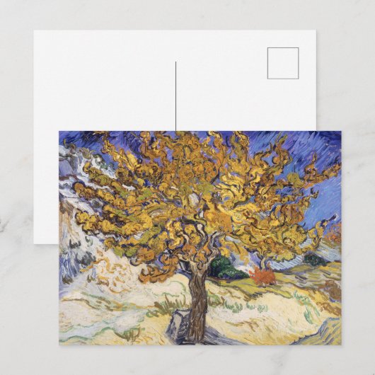 Van Gogh Mulberry Tree Yellow Swirl Art ポストカード (正面/裏面)