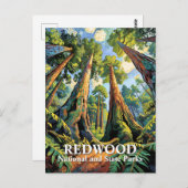 Van Gogh Redwoods Park California Poster Style ポストカード (正面/裏面)