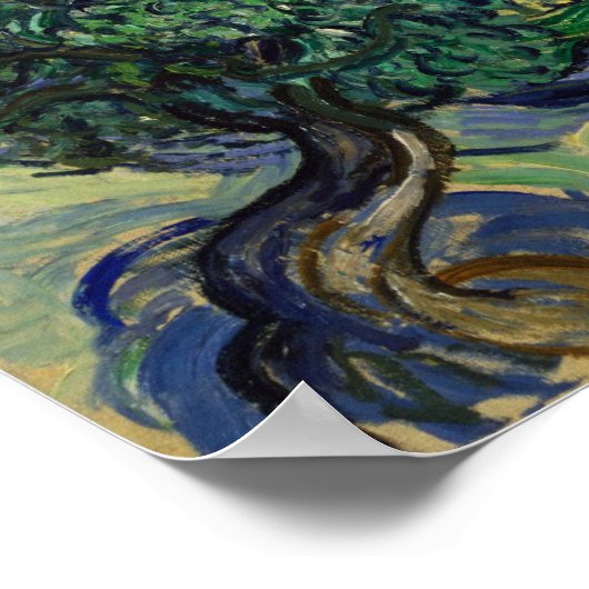 Van Gogh - The Olive Trees ポスター (角)