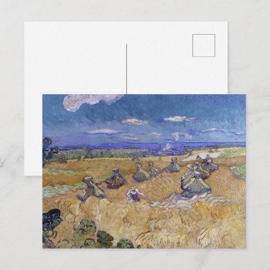 Van Gogh Wheat Field - Golden Harvest Art ポストカード (正面/裏面)