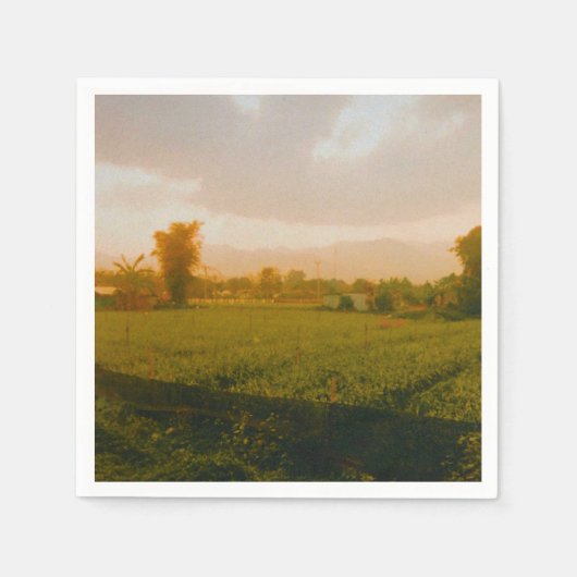 Vang Vieng - Laos  スタンダードカクテルナプキン (正面)